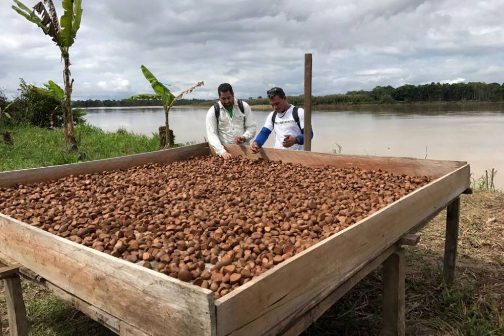 Um oásis em meio às queimadas na Amazônia